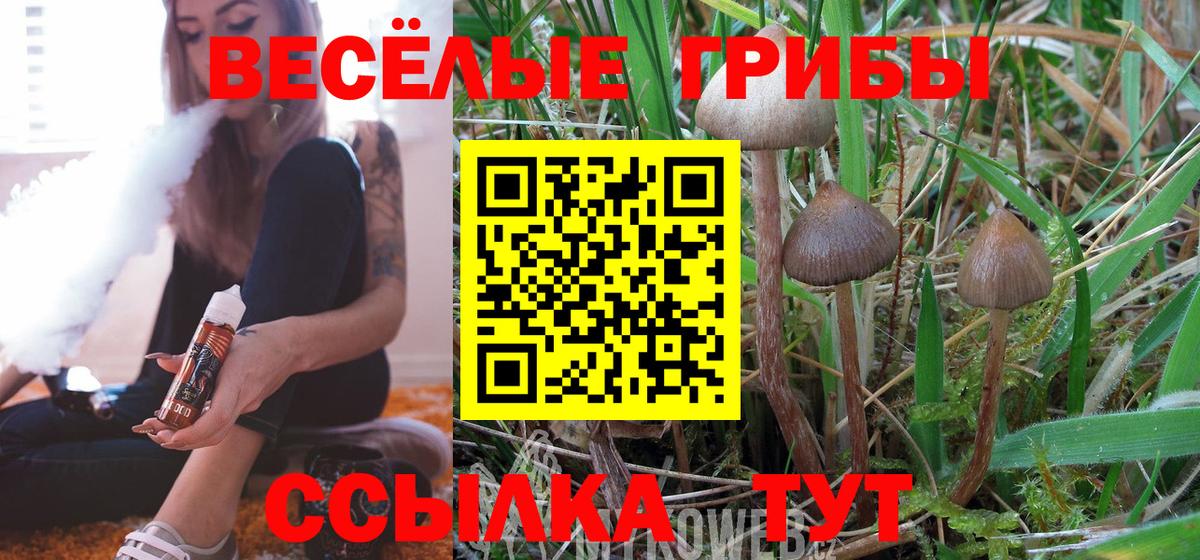 Шахты  Галлюциногенные грибы Psilocybine cubensis  Вход с VPN  Галлюциногенные грибы Psilocybe 
